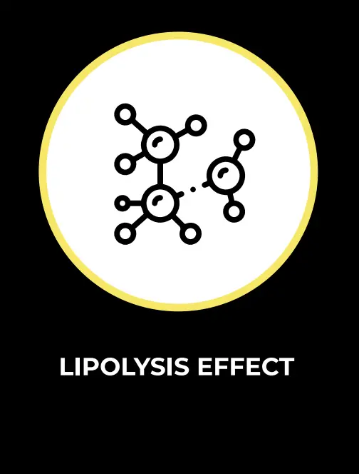 lipolysis ingredient